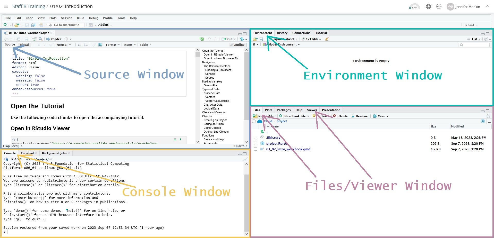 A screenshot of the RStudio IDE on Posit Cloud. The four main windows are each outlined in a different colour and labeled (top row then bottom), 'Source Window', 'Environment Window', 'Console Window', and 'Files/Viewer Window', with arrows pointing at the relevant tabs.